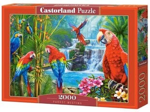 Dėlionė Castorland Papūga, 2000 d. kaina ir informacija | Dėlionės (puzzle) | pigu.lt