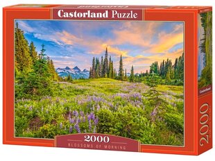 Delionė su kraštovaizdžiu Castorland, 2000 det. kaina ir informacija | Dėlionės (puzzle) | pigu.lt