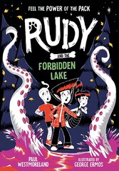 Rudy and the Forbidden Lake 1 цена и информация | Книги для подростков и молодежи | pigu.lt