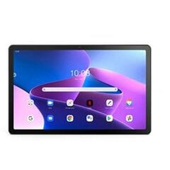 Lenovo Tab M10 Plus 2023 4/128 GB Grey цена и информация | Планшеты | pigu.lt