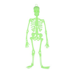 Helovino kabantis skeletas švytintis tamsoje, 33 cm kaina ir informacija | Dekoracijos šventėms | pigu.lt