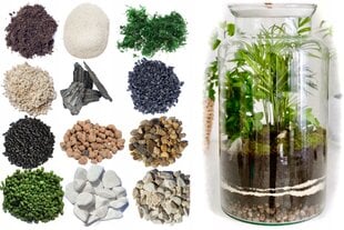 Miškas stiklainyje 30 cm цена и информация | Средства по уходу за растениями | pigu.lt