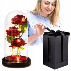 Amžina rožė stiklinėje Eternal LED kaina ir informacija | Miegančios rožės, stabilizuoti augalai | pigu.lt