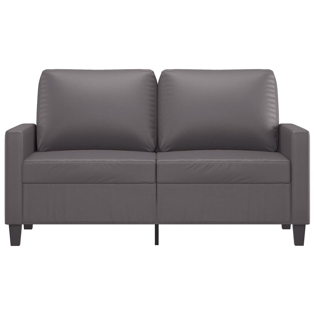 Dvivietė sofa vidaXL, pilka kaina ir informacija | Sofos | pigu.lt