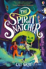 Spirit Snatcher цена и информация | Книги для подростков и молодежи | pigu.lt