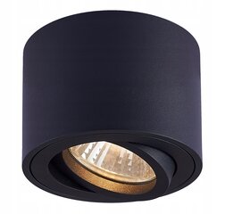 Dxled lubinis šviestuvas цена и информация | Потолочные светильники | pigu.lt