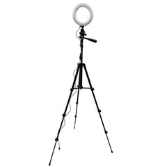 Elight GR1 Tripod, 1 vnt. kaina ir informacija | Fotografijos apšvietimo įranga | pigu.lt