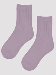 Kojinės moterims 5905204324851, violetinės kaina ir informacija | Moteriškos kojinės | pigu.lt