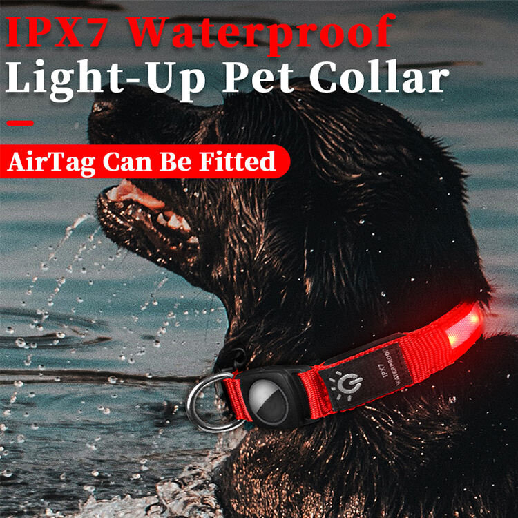 LED apšviestas antkaklis šuniui su AirTag laikikliu, mėlynas kaina ir informacija | Antkakliai, petnešos šunims | pigu.lt