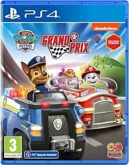 PAW Patrol: Grand Prix, PS4 цена и информация | Компьютерные игры | pigu.lt