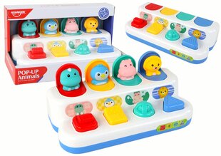 Обучающая игрушка Pop-up, животные цена и информация | Игрушки для малышей | pigu.lt