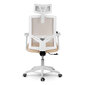 Biuro kėdė Rotar, smėlio spalvos цена и информация | Biuro kėdės | pigu.lt