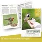 Sieninis paukščių namelis Wildtier Herz, XL kaina ir informacija | Inkilai, lesyklėlės, narvai | pigu.lt