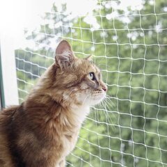 Apsauginis tinklelis katėms Kerbl, 4x3m kaina ir informacija | Saugos varteliai, apsaugos | pigu.lt