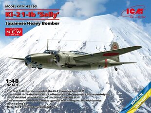 Klijuojamas modelis ICM 48195 Japanese Heavy Bomber Ki-21-Ib Sally 1/48 цена и информация | Склеиваемые модели | pigu.lt