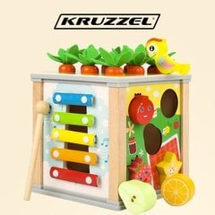 Развивающий куб Kruzzel цена и информация | Игрушки для малышей | pigu.lt