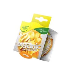 Automobilių oro gaiviklis Natural Fresh Organic Vanilla, 1 Vnt. kaina ir informacija | Salono oro gaivikliai | pigu.lt