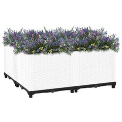 Lovelis vidaXL, 80x80x38 cm цена и информация | Ящики для рассады | pigu.lt