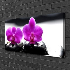 Reprodukcija Gėlių akmenys kaina ir informacija | Reprodukcijos, paveikslai | pigu.lt