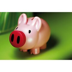 Розовая свинья-копилка 20х14х11см цена и информация | Оригинальные копилки | pigu.lt