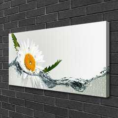 Reprodukcija Daisy vandens menas kaina ir informacija | Reprodukcijos, paveikslai | pigu.lt