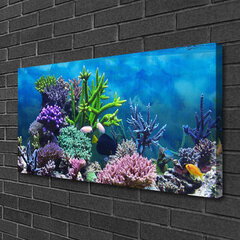 Reprodukcija Koralų rifas kaina ir informacija | Reprodukcijos, paveikslai | pigu.lt