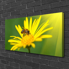 Reprodukcija Waspe gėlių augalai цена и информация | Репродукции, картины | pigu.lt