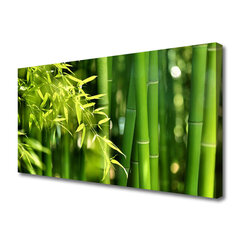 Reprodukcija Bambukas kaina ir informacija | Reprodukcijos, paveikslai | pigu.lt