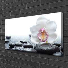 Reprodukcija Gėlių akmenų menas kaina ir informacija | Reprodukcijos, paveikslai | pigu.lt