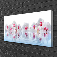 Reprodukcija Meno gėlės kaina ir informacija | Reprodukcijos, paveikslai | pigu.lt