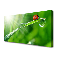 Reprodukcija Žolės saulės ladybug gamta kaina ir informacija | Reprodukcijos, paveikslai | pigu.lt