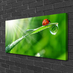 Reprodukcija Žolės saulės ladybug gamta kaina ir informacija | Reprodukcijos, paveikslai | pigu.lt