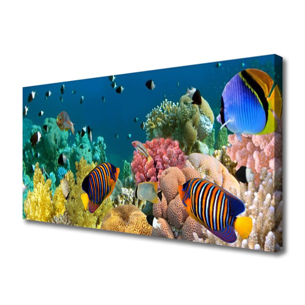 Reprodukcija Koralų rifas цена и информация | Reprodukcijos, paveikslai | pigu.lt