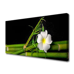 Reprodukcija Bambuko gėlių augalai kaina ir informacija | Reprodukcijos, paveikslai | pigu.lt