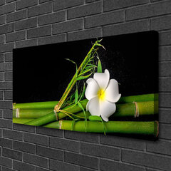 Reprodukcija Bambuko gėlių augalai kaina ir informacija | Reprodukcijos, paveikslai | pigu.lt