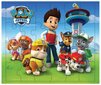 Žaidimų rinkinys Spin Master Paw Patrol 3in1 цена и информация | Stalo žaidimai, galvosūkiai | pigu.lt