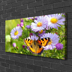 Reprodukcija Gėlių drugelio gamta kaina ir informacija | Reprodukcijos, paveikslai | pigu.lt