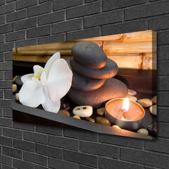 Reprodukcija Gėlių akmenų žvakių menas kaina ir informacija | Reprodukcijos, paveikslai | pigu.lt