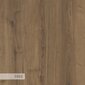 Spinta Asir, 105x118,5x26cm, smėlio spalvos kaina ir informacija | Batų spintelės, lentynos ir suolai | pigu.lt