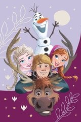 Disney pledas Frozen Family, 100x150 cm kaina ir informacija | Lovatiesės ir pledai | pigu.lt