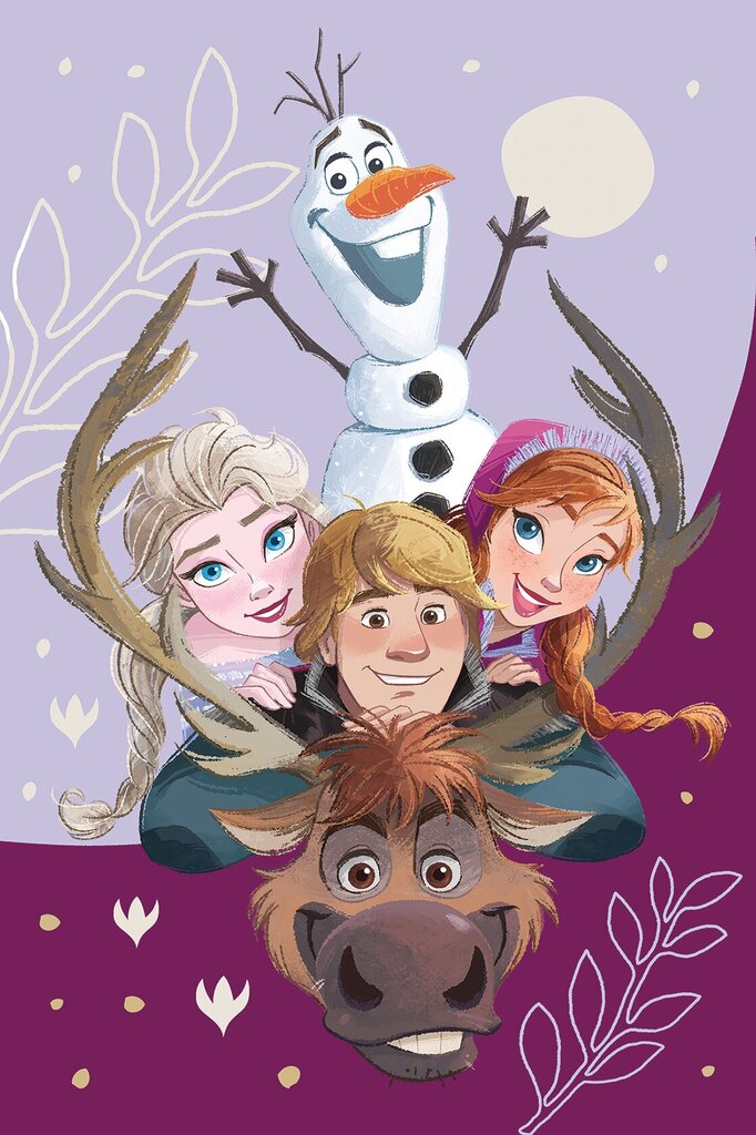 Disney pledas Frozen Family, 100x150 cm цена и информация | Lovatiesės ir pledai | pigu.lt