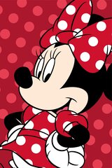 Плед Disney Minnie Red, 100х150 см цена и информация | Покрывала, пледы | pigu.lt