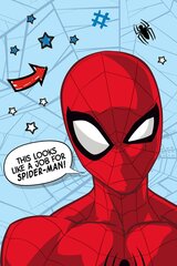 Disney плед Spiderman Star, 100x150 см цена и информация | Покрывала, пледы | pigu.lt