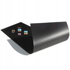 Magnetinė lenta, 61 x 0.1 x 100 cm цена и информация | Канцелярские товары | pigu.lt