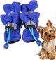 Batai šunims Litelife, mėlyni, 4 vnt., įv. dydžių цена и информация | Drabužiai šunims | pigu.lt