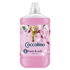 Coccolino skalbinių minkštiklis, 1700 ml цена и информация | Средства для стирки | pigu.lt