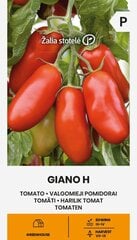 Valgomieji pomidorai Žalia stotelė Giano H цена и информация | Семена овощей, ягод | pigu.lt