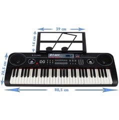 Vaikiškas pianinas su mikrofonu, 61 klavišas цена и информация | Развивающие игрушки | pigu.lt