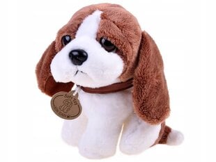 Interaktyvi lėlė su priedais ir šuniuku, 30 cm kaina ir informacija | Žaislai mergaitėms | pigu.lt