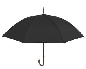 Skėtis Perletti 12130 kaina ir informacija | Moteriški skėčiai | pigu.lt